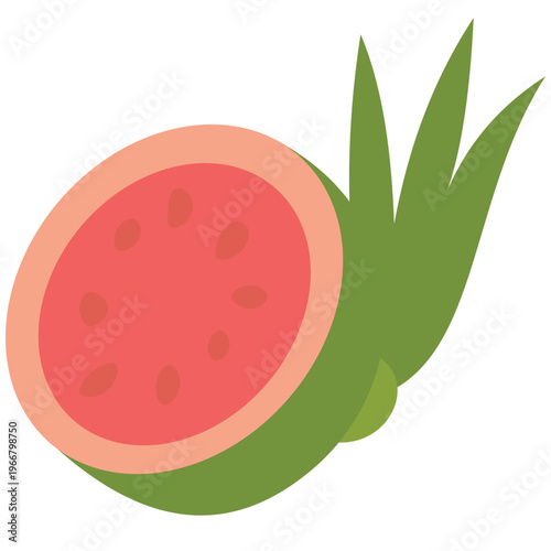 Pink watermelon radish, root vegetable, healthy food, cooking ingredient, fresh produce, organic farm, natural nutrition, and colorful illustration icon.