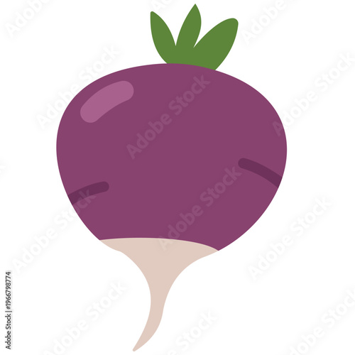 Purple radish with green top, root vegetable, healthy food, cooking ingredient, fresh produce, organic farm, and natural nutrition illustration.
