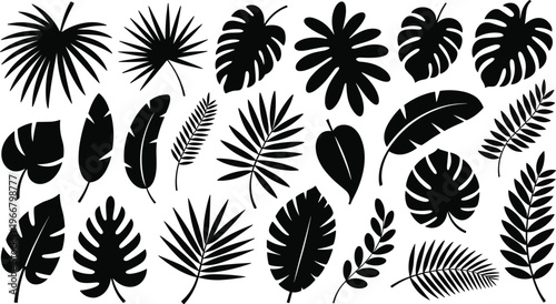 PrintTropical leaf silhouettes collection, exotic foliage variations, monstera palm banana fern designs, black vector artwork, botanical illustration, decorative pattern, nature element