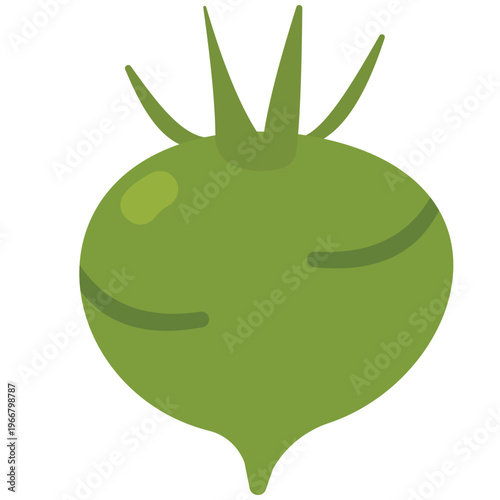 Green turnip with leaves, root vegetable, healthy food, cooking ingredient, fresh produce, organic farm, and natural nutrition illustration.