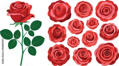 Minimalist hand-drawn inspired red rose collection with single stem and grid of twelve identical blooming flowers decorative vector layout