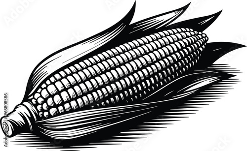 Hand-drawn woodcut style corn cob illustration with peeled husks and textured kernels dynamic brushstroke minimal black and white design