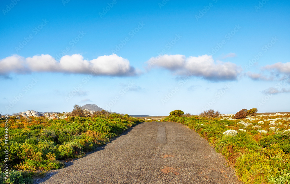 Fototapeta premium Road, nature and blue sky with clouds in countryside for travel, destination or outdoor adventure. Empty, space and asphalt street with natural greenery of eco friendly path for trip in wilderness