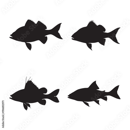Silhouette of Archer Fish isolated on white background, vector illustration