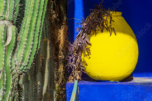 Close-up view of plant pot in Jardin Majorelle in Marrakech in Morocco