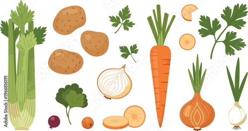 Fresh vegetables vector set with celery potato carrot onion and herbs organic food illustration isolated on white background
