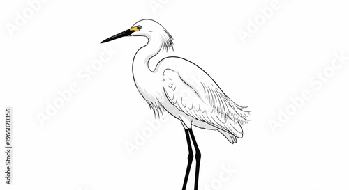 Sketch of a white egret bird with black legs and yellow eye