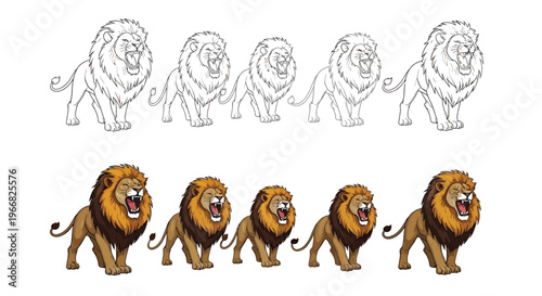 Set of stylized roaring male lion vector illustrations showing outline and color versions