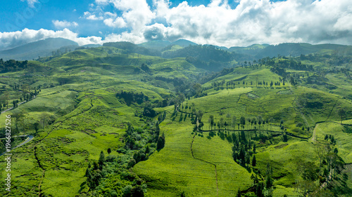 Aerial view of a lush valley with a winding river cutting through green hills under a bright sky.