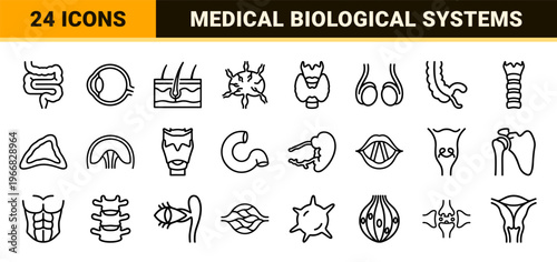 Human Internal Anatomy and Biological Systems Minimalist Monoline Geometric Line Art for Medical Education and Healthcare Design