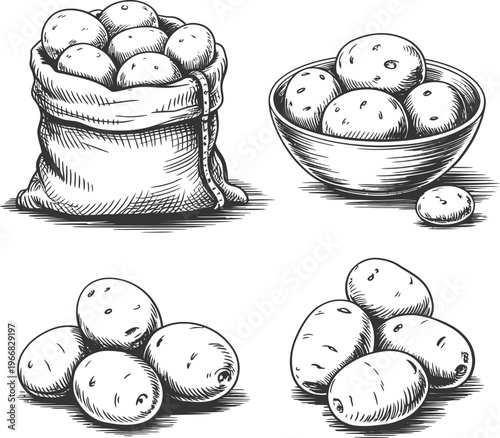 Hand-drawn of potatoes in a burlap sack and a bowl with loose potatoes