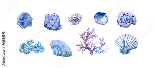 Collection of watercolor seashells and coral on white background. Ideal for ocean-themed designs and crafts.