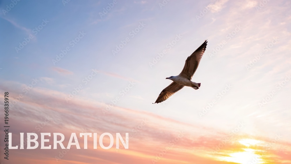 Fototapeta premium Seagull Soaring in a Bright Dawn Sky