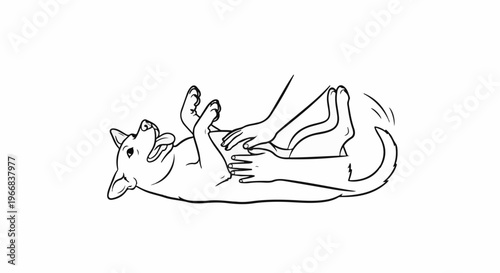 A simplified drawing shows a person's hands gently stroking a happy dog's belly