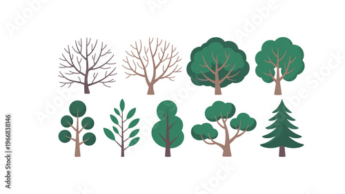 Collection of stylized trees in varying sizes and foliage density Vector
