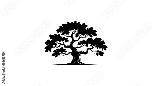 A grand solitary tree with sprawling branches and dense foliage standing strong. Vector