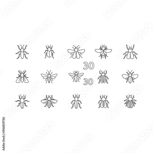 A collection of various fly species Vector