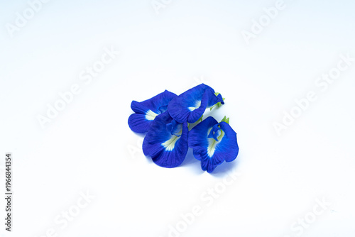 Canvastavla Fresh butterfly pea flowers with vivid blue petals isolated on white background
