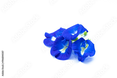 Canvastavla Fresh butterfly pea flowers with vivid blue petals isolated on white background