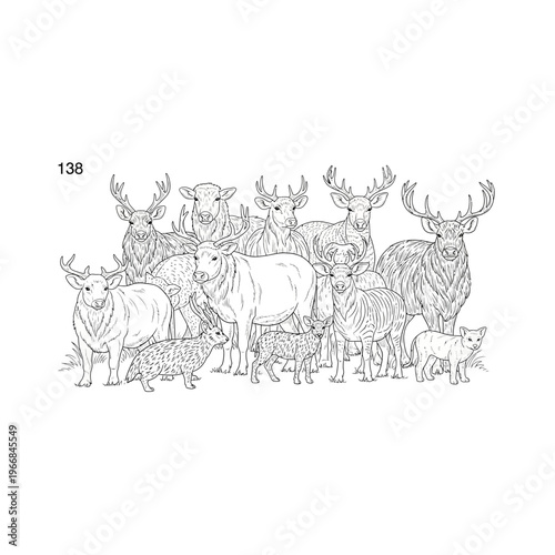 A group of deer are standing together