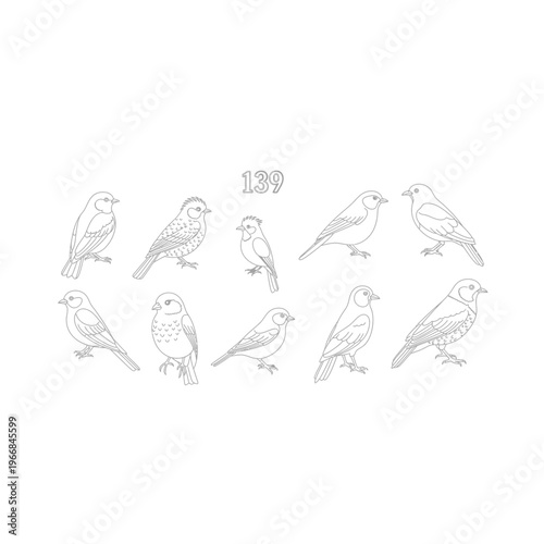 A group of birds in various poses