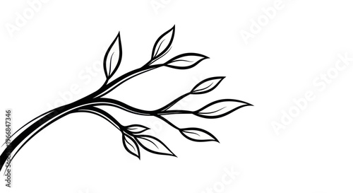 Foto Adobe Illustrator Artwork