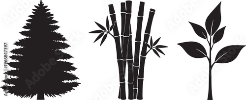 Black tree, bamboo, and leaf silhouettes, nature icons, plant symbols, eco-friendly graphics isolated on Transparent Background