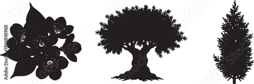 Tree silhouettes, black tree icons, forest trees, nature symbols isolated on Transparent Background