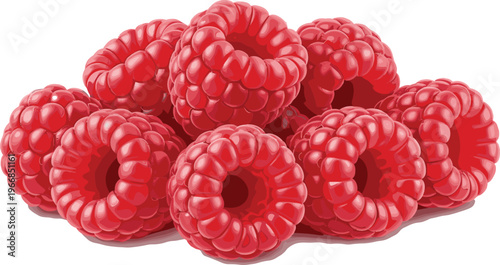 Ripe red raspberries vector illustration with glossy finish and realistic detail for fresh fruit packaging