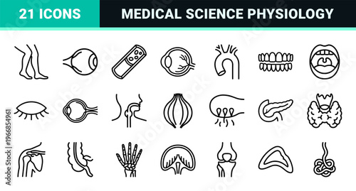 Human Anatomy and Biological Systems Monoline Outline Icons; Minimalist Medical Physiology and Internal Organ Geometric Vector Symbols.