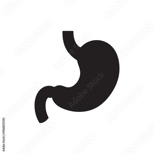 Stomach silhouette vector illustration on white background
