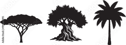 Tree silhouettes, tropical palm, acacia, bush icons, black vector graphics isolated on Transparent Background