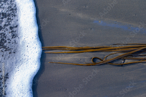 Foto Foamy surf washes onto the beach with strands of bull kelp at Karekare Beach in Auckland, New Zealand