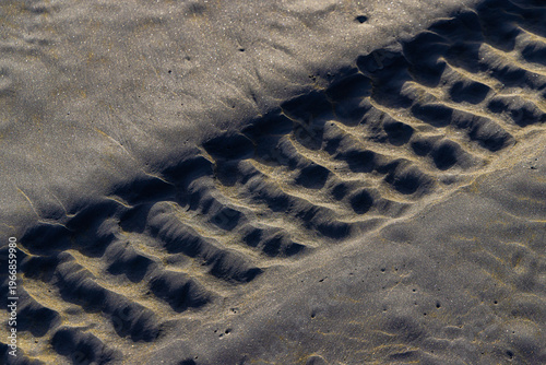 A tire track is imprinted in the wet sand at low tide on the beach in Karekare, Auckland, New Zealand. The track shows evidence of recent vehicle activity on the coast.