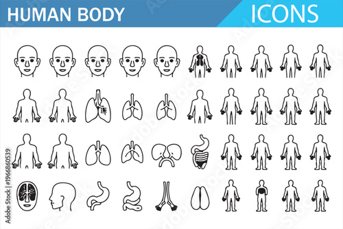 Healthcare anatomy symbols with body organs and structure line icon set
