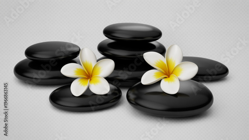 Minimalist spa composition featuring polished black stones and tropical plumeria flowers on light gray background for relaxation and calm