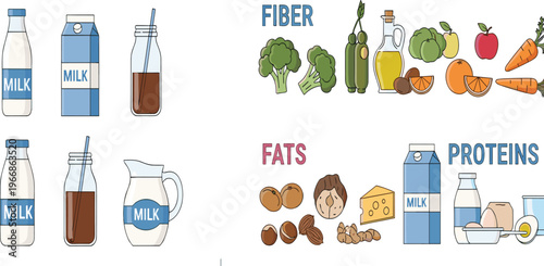 Nutrition Food Groups Illustration with Fiber Fats and Proteins Categories Including Milk Vegetables Fruits Nuts and Dairy Products for Healthy Diet Education Design