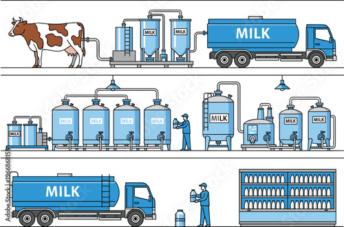 Milk production process illustration showing dairy farm collection, processing tanks, tanker truck transportation, bottling line and storage for dairy industry