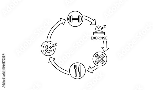 A vector graphic illustrating a cycle of healthy lifestyle habits including exercise, eating, and sleeping