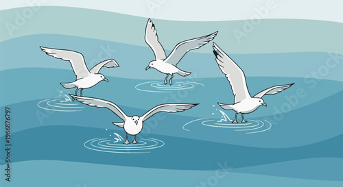 Four seagulls interacting with rippling water