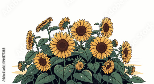 A vibrant cluster of blooming sunflowers with large green leaves