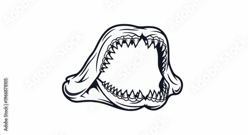 Close-up illustration of an open shark's mouth with sharp teeth
