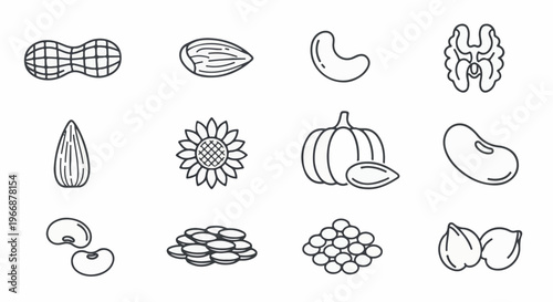 Diverse collection of stylized nuts, seeds, and beans