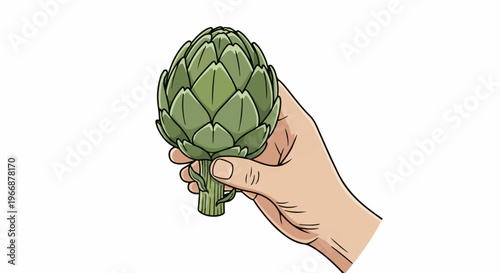 Hand holding a green artichoke with stem on white background