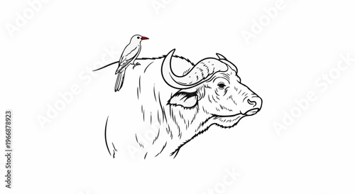 Black and white sketch of a bird perched on a buffalo's back