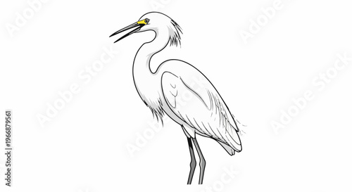 A white heron stands with its beak open, revealing a yellow eye