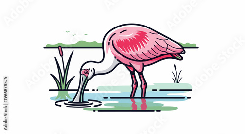 Pink spoonbill bird dips its beak into shallow water with plants