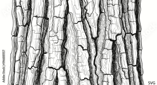 Detailed Black and White Illustration of Rough Tree Bark Texture