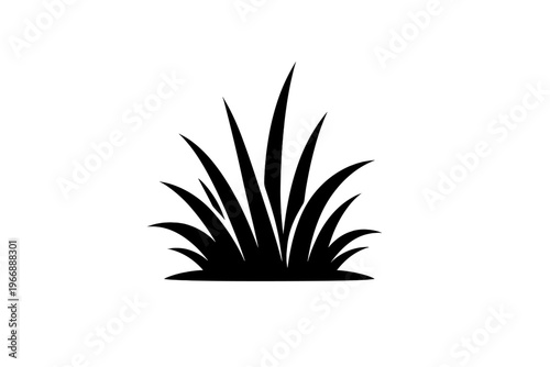 Silhouette of grass blades isolated on white background