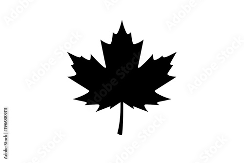 Black silhouette of a canadian maple leaf on white background